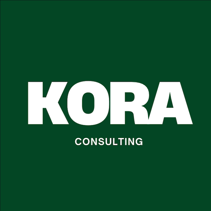 koraconsulting.co.za